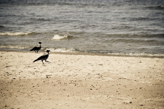 jurmala beach